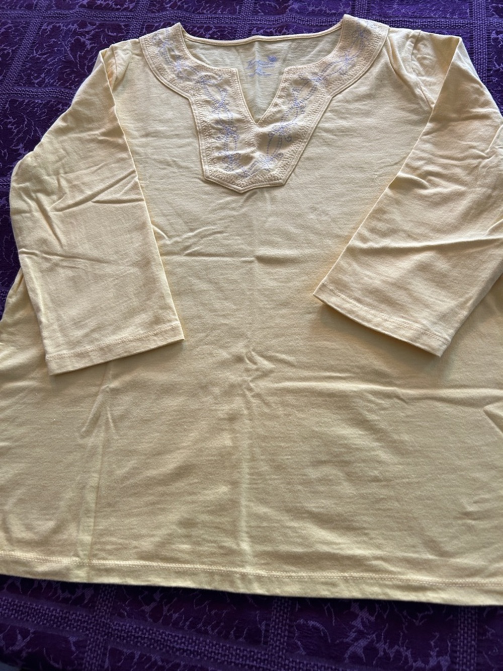 Women’s Cream Embroidered V-Neck Long Sleeve Top